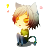 Mr.Whiskers